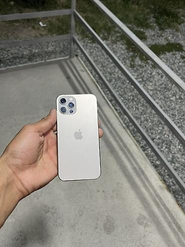 Apple iPhone: IPhone 12 Pro, Серебристый — 11