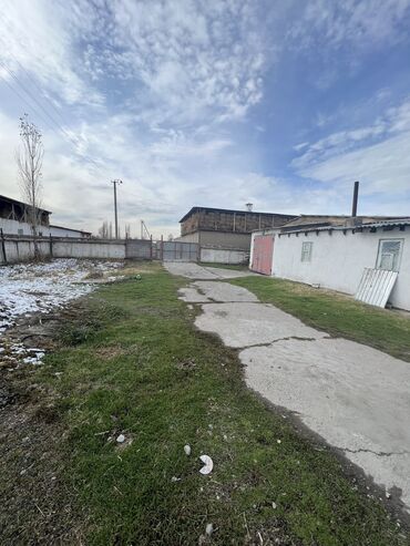 Другая коммерческая недвижимость: Сдаю Конюшню в перспективном районе для содержания лошадей и быков — 9