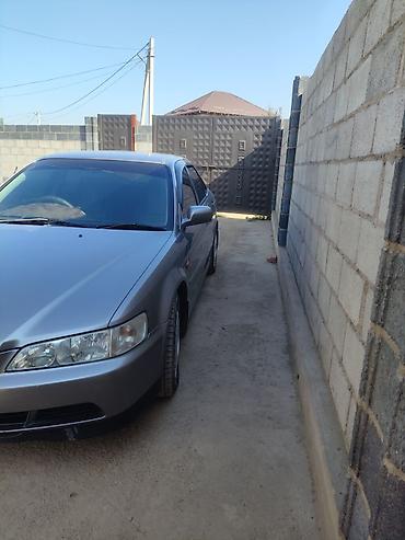 bmw 3 series e46: Honda Accord: 2001 г., 1.8 л, Автомат, Бензин, Седан — 2