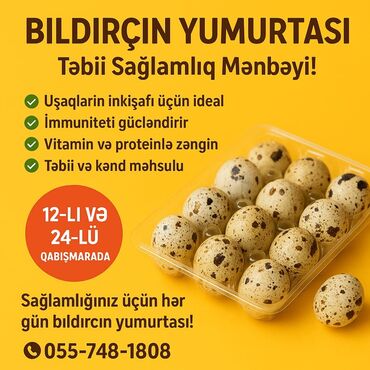 gence qab: Məhsul: Bildirçin yumurtası Təsviri: - Yerli kənd təsərrüfatından