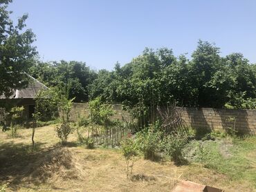 Torpaq sahələrinin satışı: 12 sot, Biznes üçün, Barter mümkündür, Kupça (Çıxarış), Texniki pasport