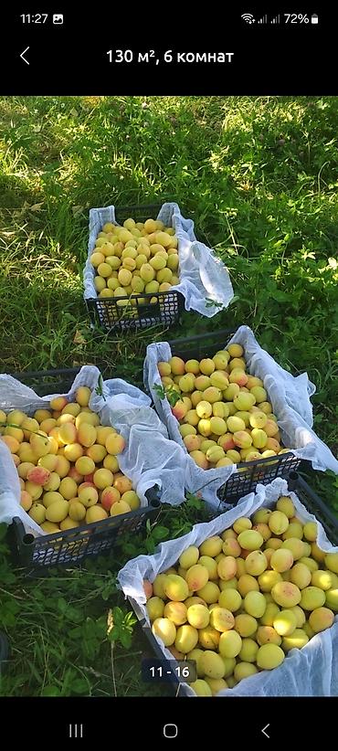 Продажа коттеджей и домов: Дом 130 м², 6 комнат, с большим плодоносящим садом. - Планировка — 11