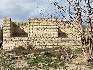 Həyət evləri və villaların satışı: 3 otaqlı, 180 kv. m, Kredit yoxdur, Təmirsiz — 3