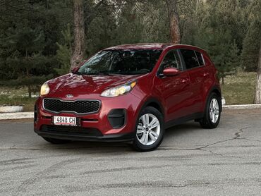 ас машина: Kia Sportage: 2018 г., 2.4 л, Автомат, Бензин, Кроссовер