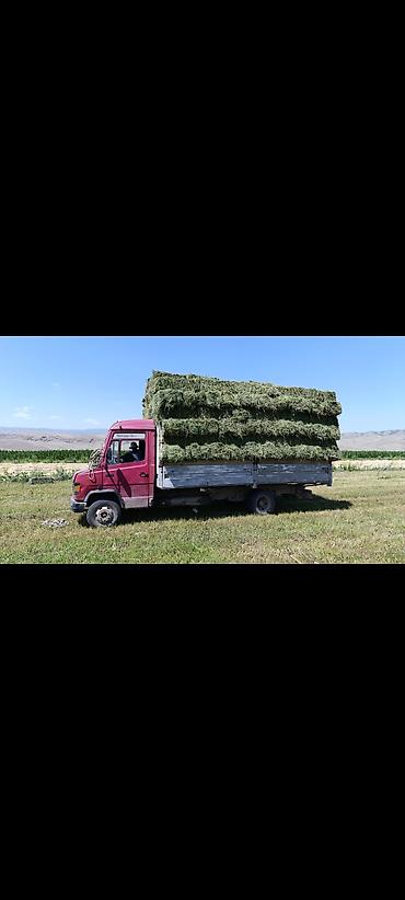 Грузовики: Грузовик, Mercedes-Benz, Стандарт, 6 т, Б/у — 9