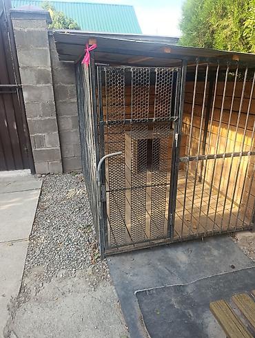 pet банки: Вольер для собаки с будкой цена 29.500 - Просторный уличный вольер из — 1