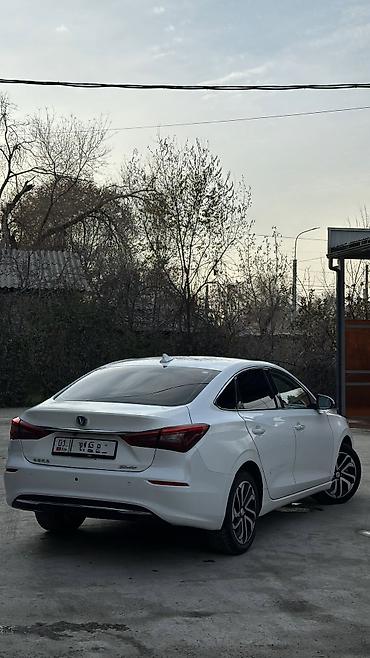 комфорт машина: Changan Eado: 2019 г., Автомат, Электромобиль, Седан — 3