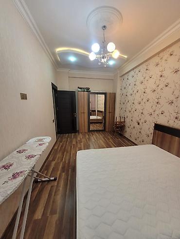 qarayev: Nizami rayonu, Qara Qarayev metrosunun yaxını, Xarı Bülbül — 5