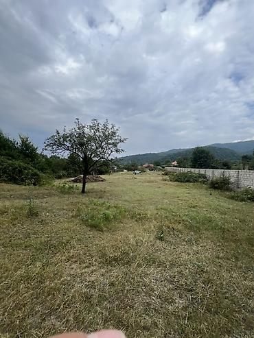 cıxarış nədir: 30 sot, Tikinti, Mülkiyyətçi, Kupça (Çıxarış) — 4