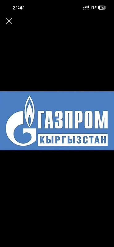 Газдаштыруу: Газдаштыруу, Сырткы тармактарга кошуу — 1