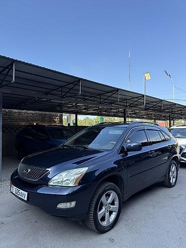 Lexus: Lexus RX: 2006 г., 3.3 л — 11