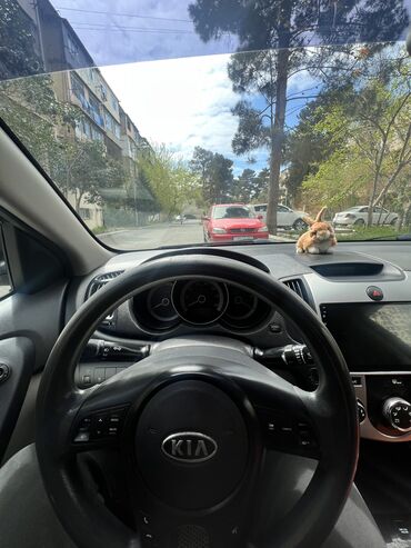 Kia: Kia Cerato: 2 l | 2011 il Sedan — 18