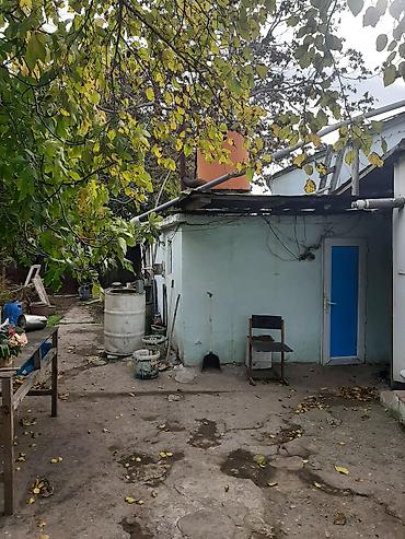 Torpaq: 13 sot, Tikinti, Maklerlər narahat etməsin, Bələdiyyə, Kupça (Çıxarış) — 9