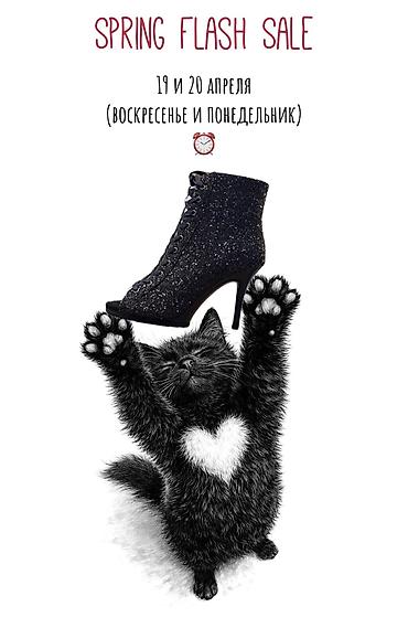 Туфли: Туфли для танцев Каблук 8 см / 9.5 см / 11 см От 34 по 42 размер в — 22