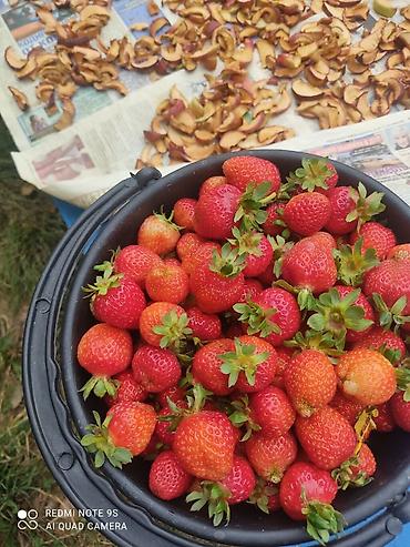 Малина: Малина Платная доставка — 6