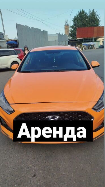 хундай саната дн8 левая передняя дверь нужен: Сдаю в аренду: Легковое авто, Частная аренда