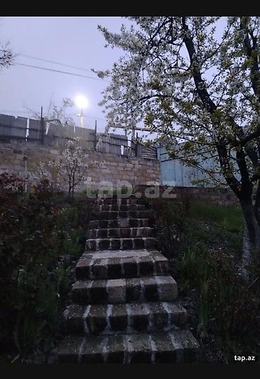 ev elanlari 2022: 10 sot, Tikinti, Mülkiyyətçi, Kupça (Çıxarış) — 5