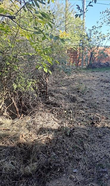 Biznis usluge: KOMPLETNO ČIŠĆENJE SVIH OBJEKATA – Brzo i pedantno! ​ Nudimo — 6