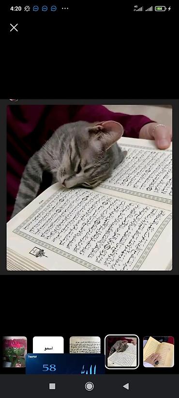 Другой текстиль: Декоративный набор с исламскими мотивами. - Мягкий пушистый — 4