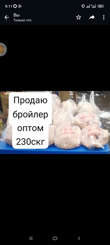 Мясо, рыба, птица: Продаю бройлерный мясо окорочка оптом кг доставкой розницу кг