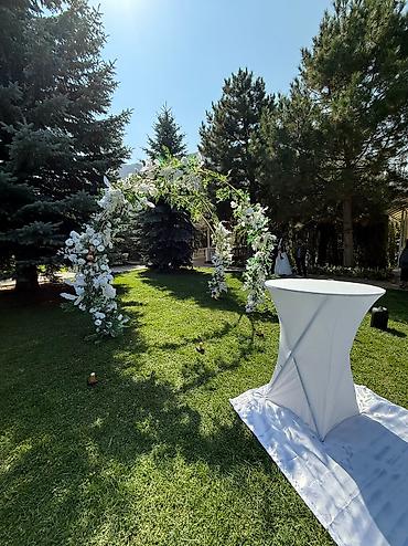 Другие услуги: Сдаём в аренду всё для вашего праздника! ✨ 	•	Прозрачные стулья и — 14