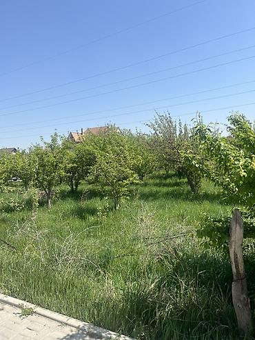 план дома: 6 соток, Для бизнеса, Красная книга — 4