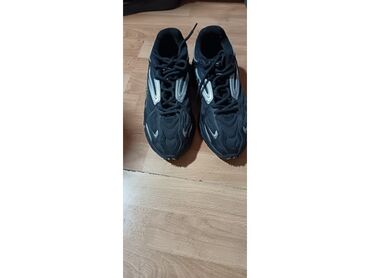 patike niš: Trainers, Lacoste, size - 40