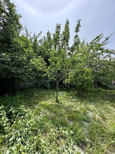 Продажа дач: 🏡🔥 ПРОДАЁТСЯ ДАЧА В ТАШ-МОЙНОКЕ! ДТ: «Мичуринец» 🌿 💥 Участок — 6 — 8