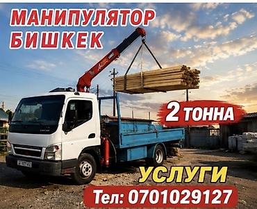 хим кг: Манипулятор, Mitsubishi — 1