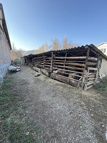 Продажа коттеджей и домов: 📍 В Сокулуке в селе Тош-Булак продается дом на участке 40 соток по — 3