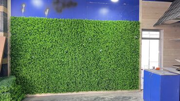 Digər ev dekoru: Kv 25 azn baslayan yasil dekorlar
Her olcude hazrlanr 
Depodan satis — 12