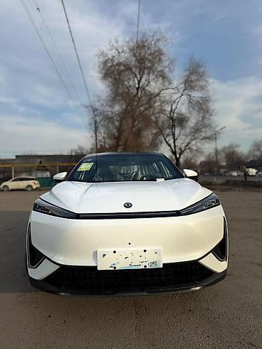 Dongfeng: Dongfeng : 2024 г., 0.1 л, Автомат, Электромобиль, Кроссовер — 9