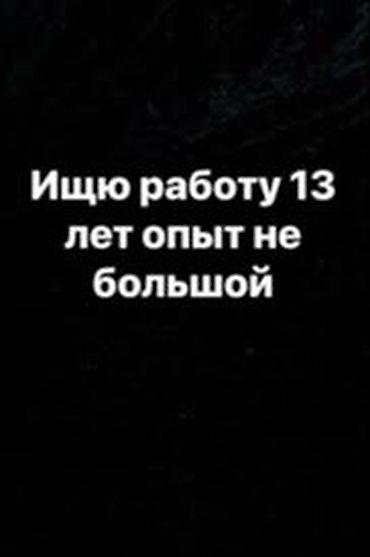 образец тигем: Услуга: соискатель работы Описание: - Соискатель активного поиска — 1