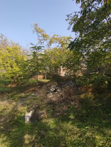 Videomüşahidə: Merkanda kupçalı 14 sot torpaq satılır içinde köhne tikili var yol — 11