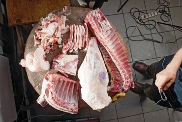 отдых в горах с ночевкой бишкек: Кой союп, жиликтеп берем