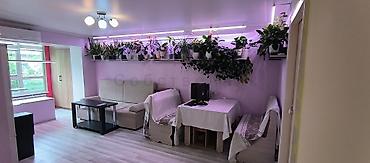 Продажа квартир: 2 комнаты, 45 м², Хрущевка, 4 этаж, Косметический ремонт — 15