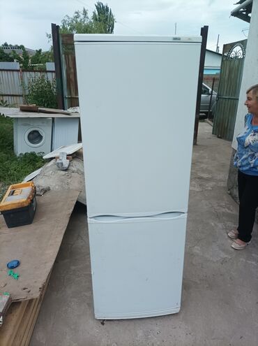 чолпон ата холодильник: Муздаткыч Arctic, Эки камералуу