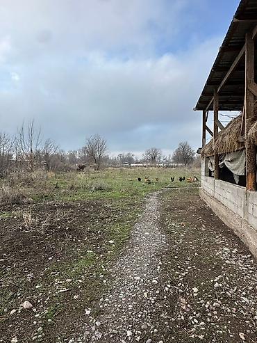 Продажа коттеджей и домов: Трёхкомнатная времянка и новый дом четыре комнатные плюс сарай 20/6 — 30