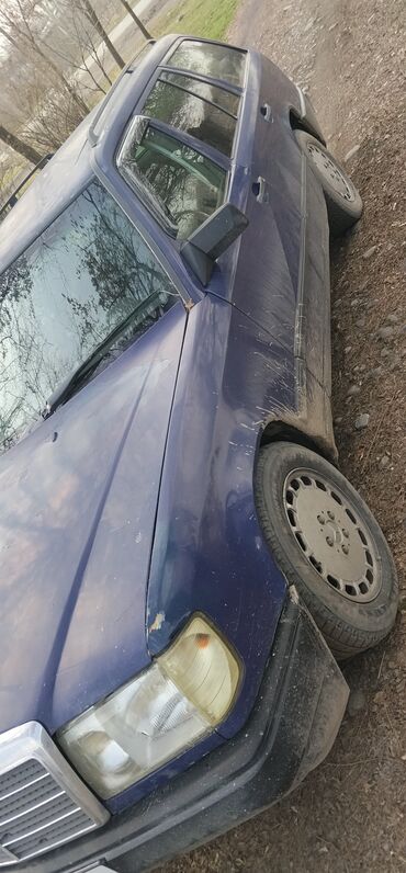 Mercedes-Benz: Mercedes-Benz W124: 1989 г., 2.3 л, Механика, Бензин, Универсал — 2