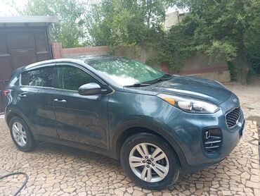 Kia: Kia Sportage: 2019 г., 2.4 л, Автомат, Бензин, Кроссовер — 5