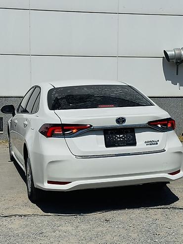 ночной прибор: Toyota Corolla: 2022 г., 1.8 л, Вариатор, Гибрид, Седан — 5
