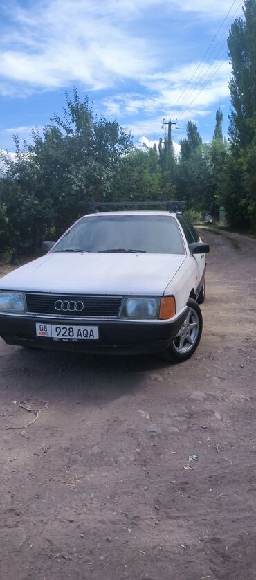 ничего: Audi 100: 1988 г., 2 л, Механика, Газ, Седан