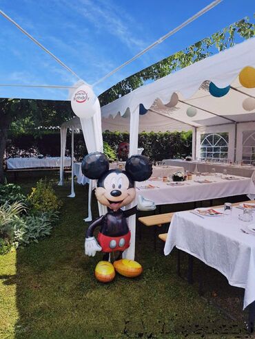 Organizacija događaja: Organizacija događaja | Bouquets, Lopte, Clowns — 16