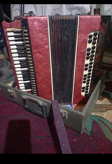 velosiped 29 saft: Akustik Akkordeon, İşlənmiş — 1