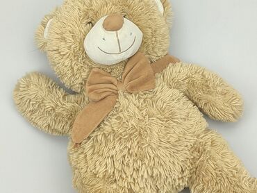 czapka z daszkiem pull and bear: Mascot Teddy bear, condition - Good