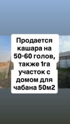 продаю дом город шопоков: 160 соток, Для бизнеса, Красная книга