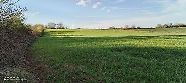 Torpaq sahələrinin satışı: Tikinti — 18