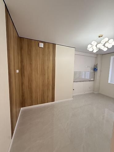 район тэц: 1 комната, 45 м², Технопарк Элитка, 11 этаж, Евроремонт — 4