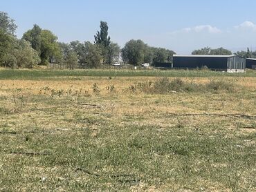 Продажа участков: 27000 соток, Для строительства, Договор купли-продажи — 7