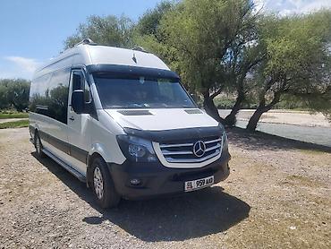 sprinter 2 2: Бус на заказ! Бус в аренду! Бус рекс!Бус дельфин!Бус на прокат с — 8
